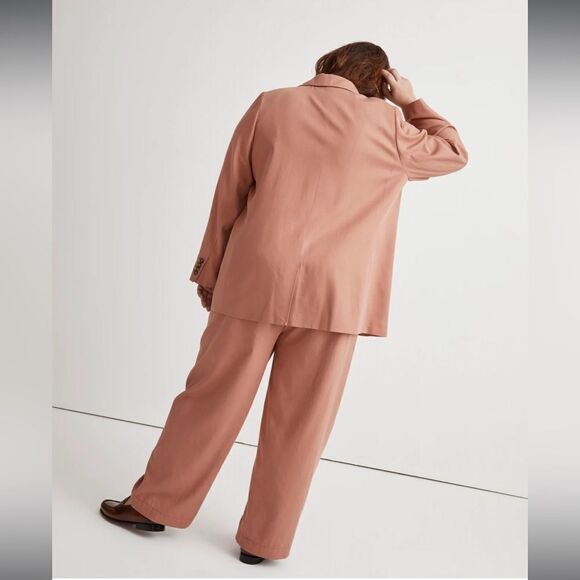 Madewell The Plus Larsen Blazer in Drapeweave - Picture 4 of 5